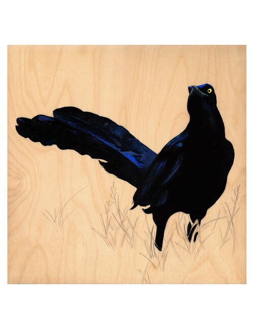 Grackle #30 - Carly Weaver - 8 x 8"