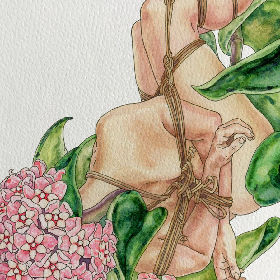 Hoya Rope Plant - Jennifer Pate - 8x10"