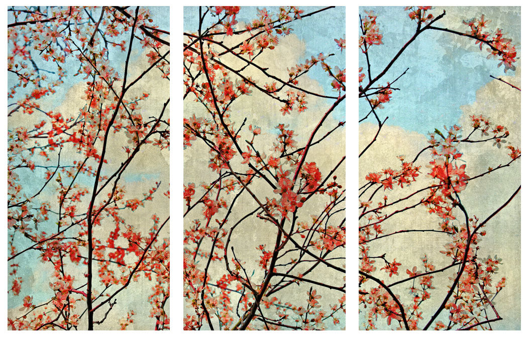 Spring Tree Triptych by Jake Bryer