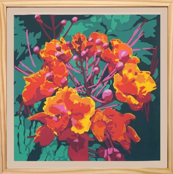 peacockflower_600x.jpg?v=