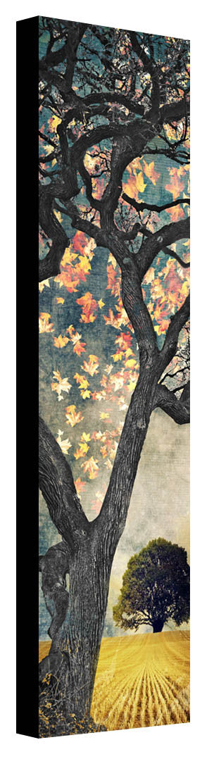 Autumn Oak by Jake Bryer