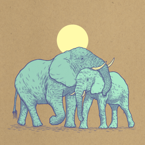 Elephant Hug - Dan Grissom - 18x18"