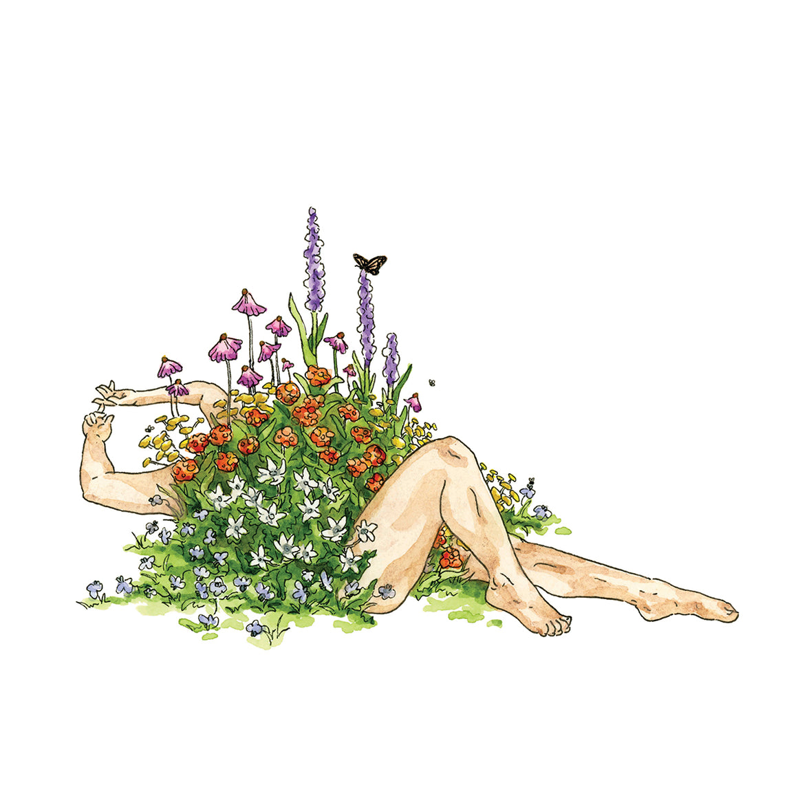 Fall Wildflowers - Jennifer Pate - 8x10"