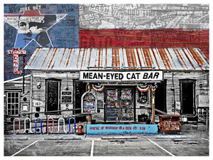 Mean Eyed Cat 2 by Jake Bryer
