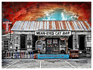 Mean Eyed Cat by Jake Bryer
