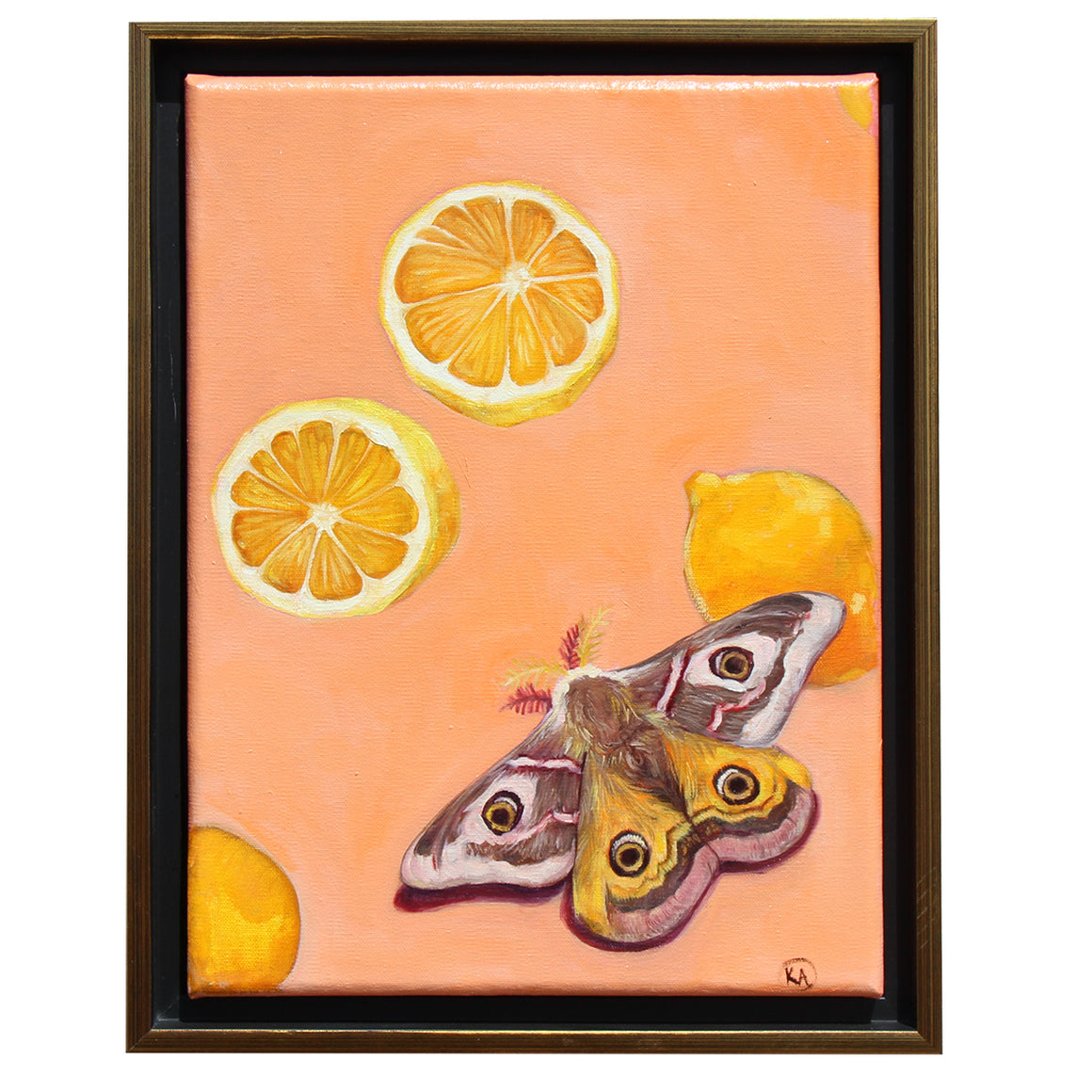 Moth with Lemon Wallpaper - Kelsey Archbold - 10.5 x13.5" Framed