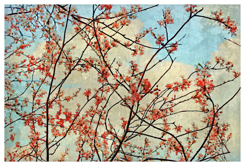 Spring Tree by Jake Bryer