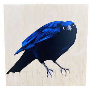 Grackle #43 - Carly Weaver - 8 x 8"