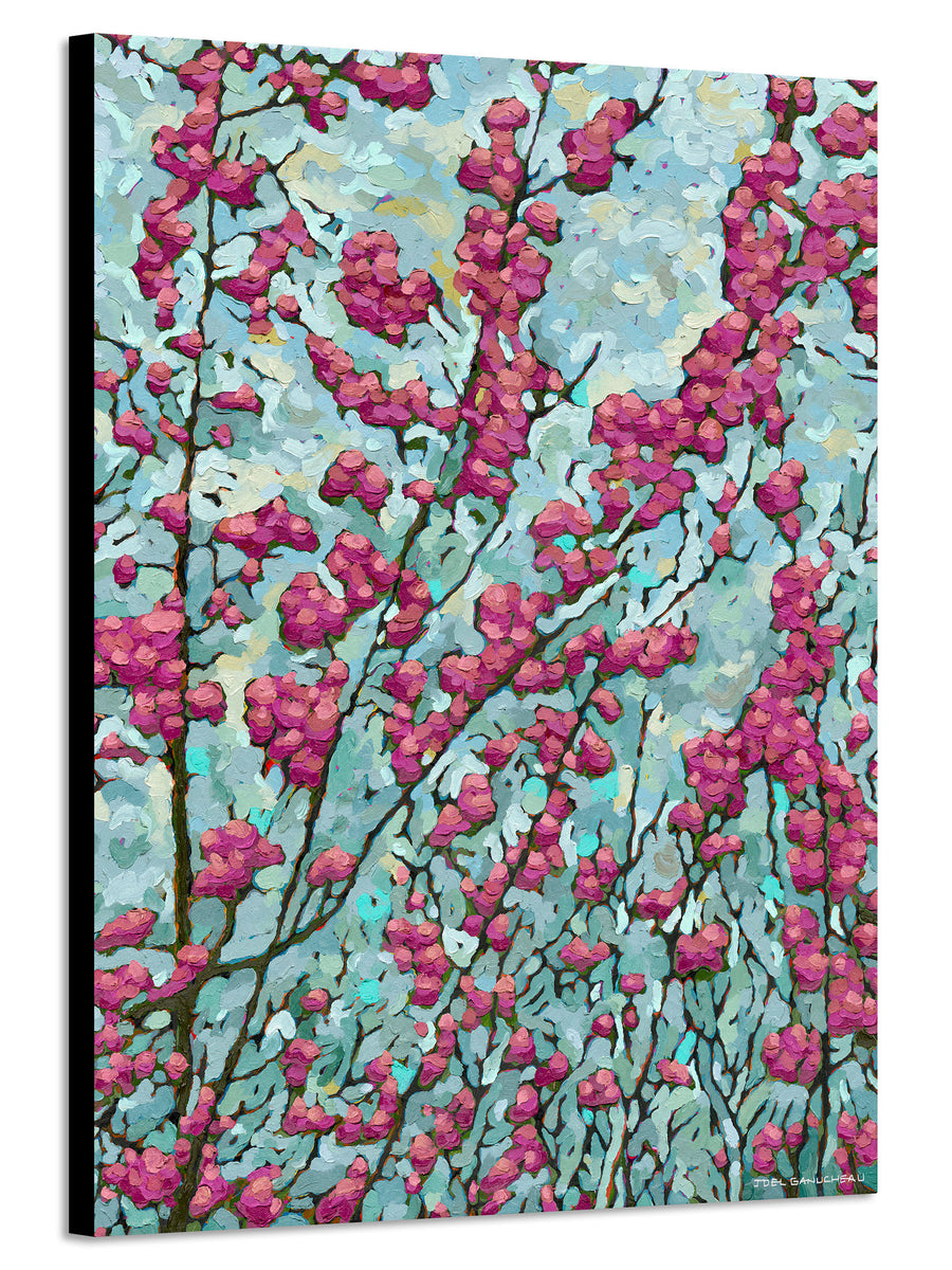 Blooming Redbud - PRINT - Joel Ganucheau
