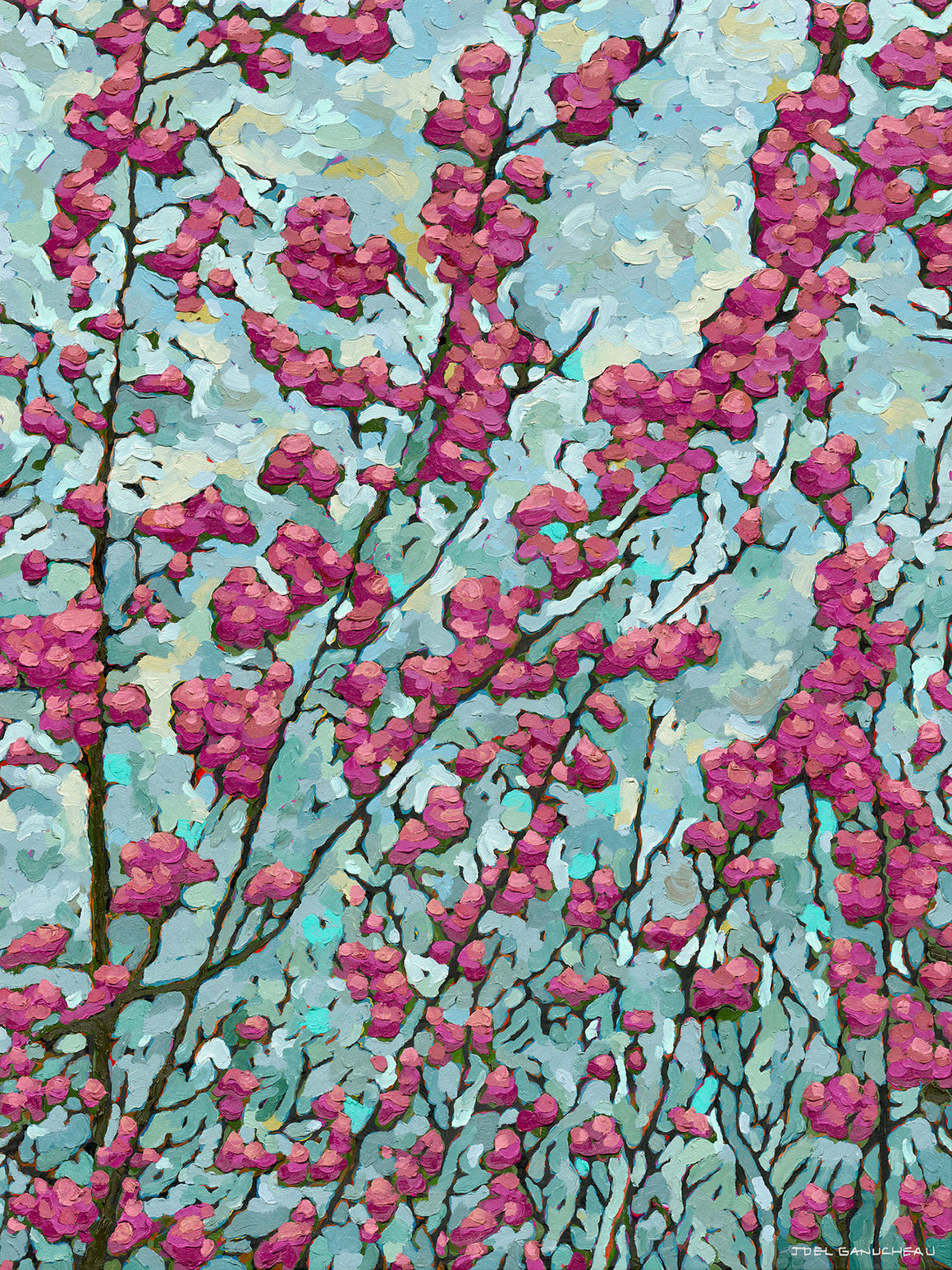 Blooming Redbud - PRINT - Joel Ganucheau