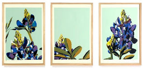 Bluebonnet Triptych (Screen print triptych) in Sage - Landry McMeans - 30 x 62"