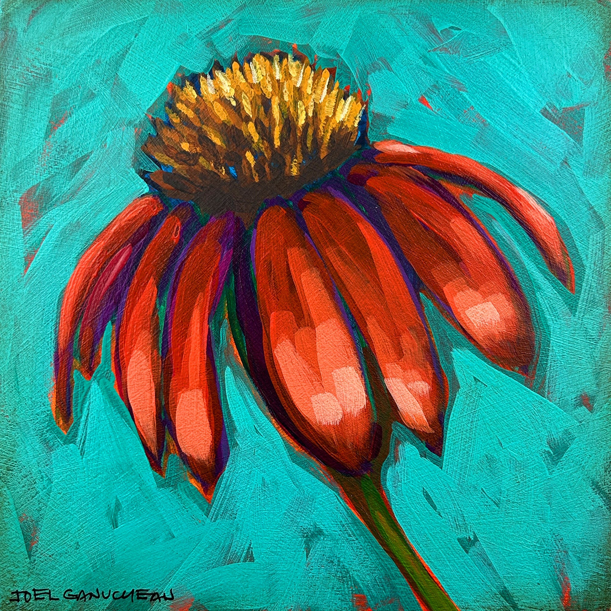 Coneflower Bloom - ORIGINAL - Joel Ganucheau - 8x8"