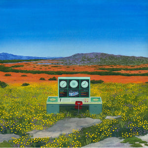 Control Flowers - Heather Sundquist Hall - 12x12" - Paper Print