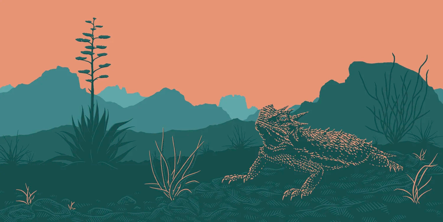 Texas Horned Lizard - Dan Grissom - 12x24"