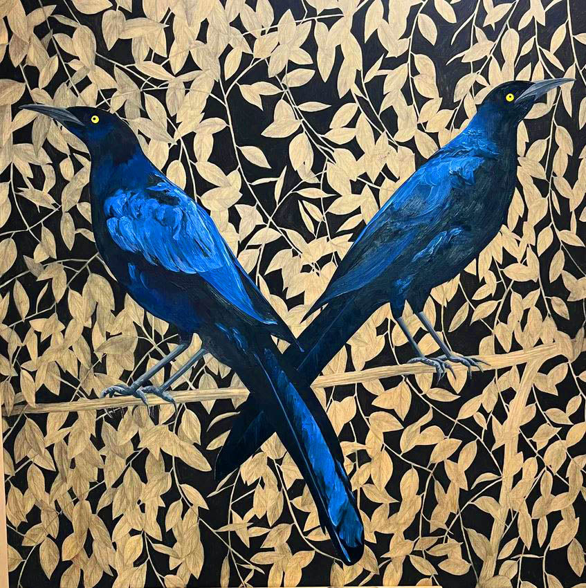 Double Eclipse Grackle - Carly Weaver - 24 x 24" Print