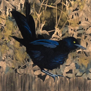 Eclipse Grackle #19 - Carly Weaver - 8 x 8"