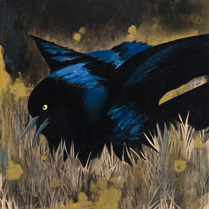 Eclipse Grackle #26 - Carly Weaver - 8 x 8"