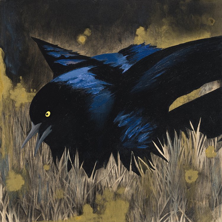 Eclipse Grackle #26 - Carly Weaver - 8 x 8"