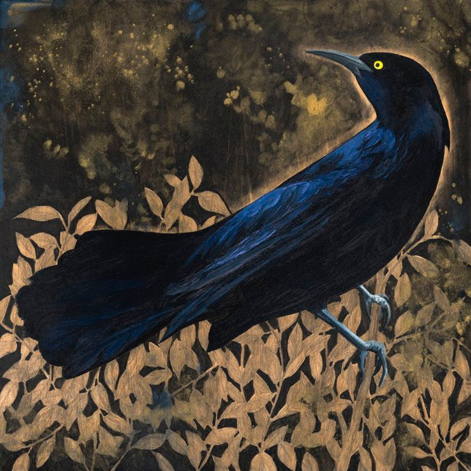 Eclipse Grackle #39 - Carly Weaver - 8 x 8"