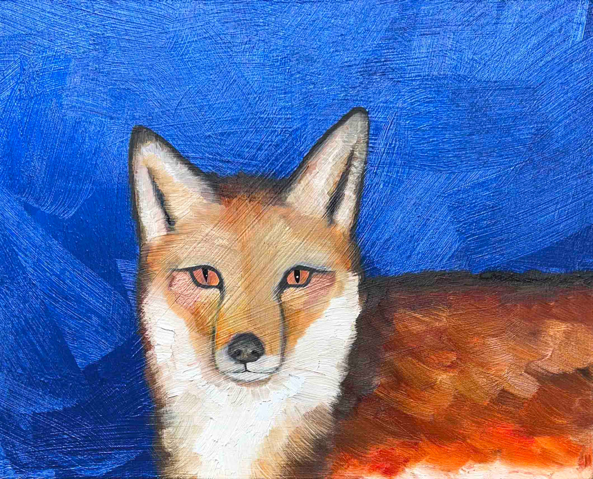 Fox in Metallic Cobalt Blue - Eli Halpin - 11x14"