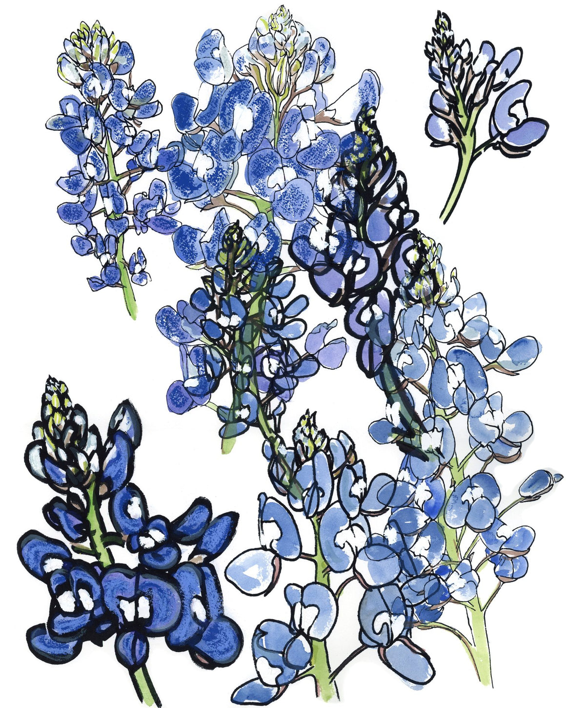 Gathered Bluebonnets - Katie Chance - 16x20"