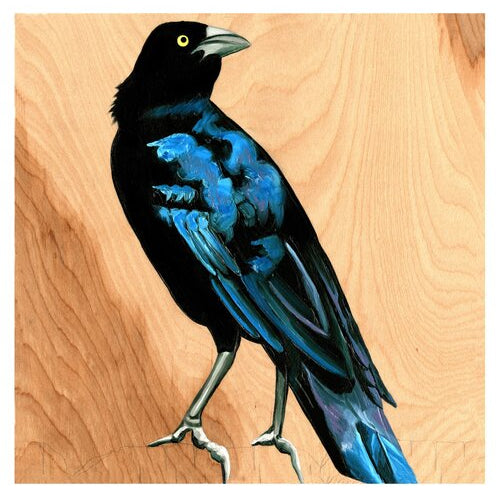 Grackle #12 - Carly Weaver - 8x8"