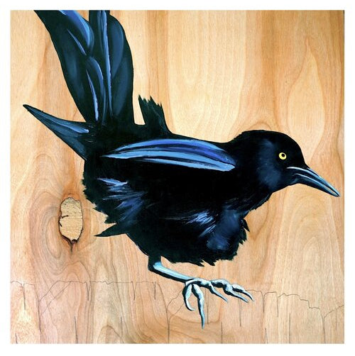 Grackle #19 - Carly Weaver - 8x8"