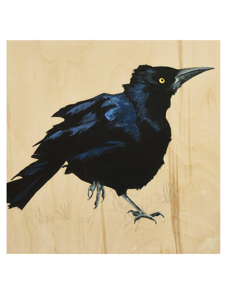 Grackle #34 - Carly Weaver - 8 x 8"