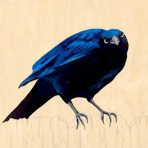 Grackle #43 - Carly Weaver - 8 x 8"