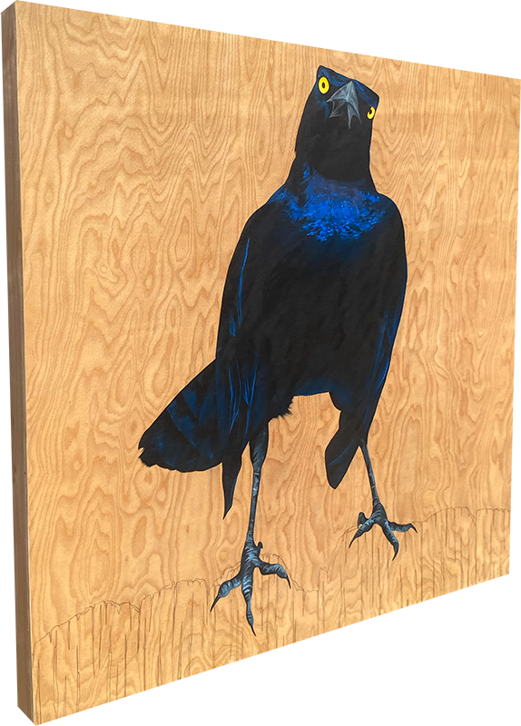 Terry - Carly Weaver - 22x22"