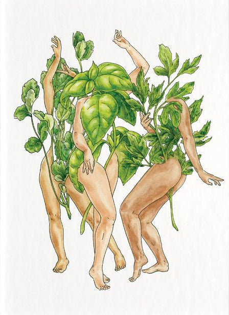 Herb Gals - Jennifer Pate - 8x10"