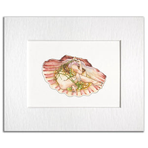 Hestia Scallop - Jennifer Pate - 8x10"