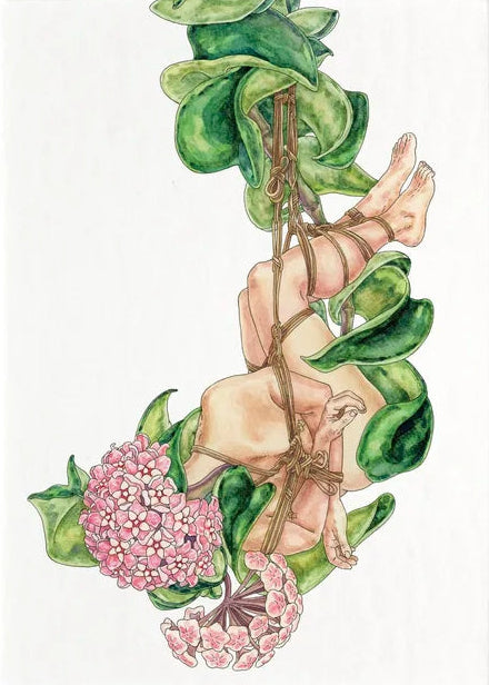 Hoya Rope Plant - Jennifer Pate - 8x10"