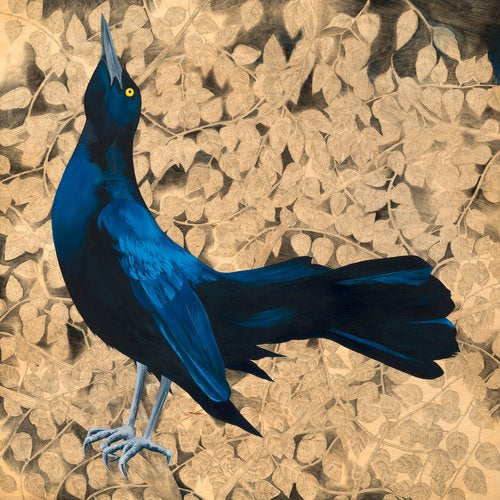 Policy of Grackle - Carly Weaver - 24 x 24" Print