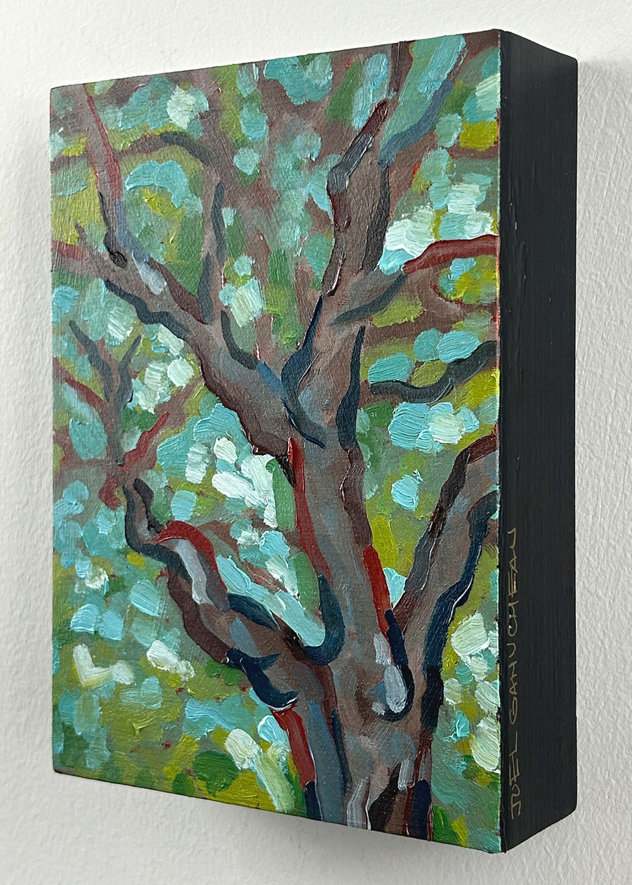 Little Emerald Forest - ORIGINAL - Joel Ganucheau - 5x7"