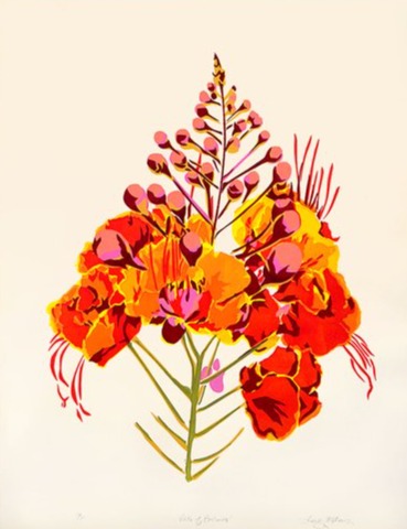 Pride of Barbados - Landry McMeans - 22 x 28"