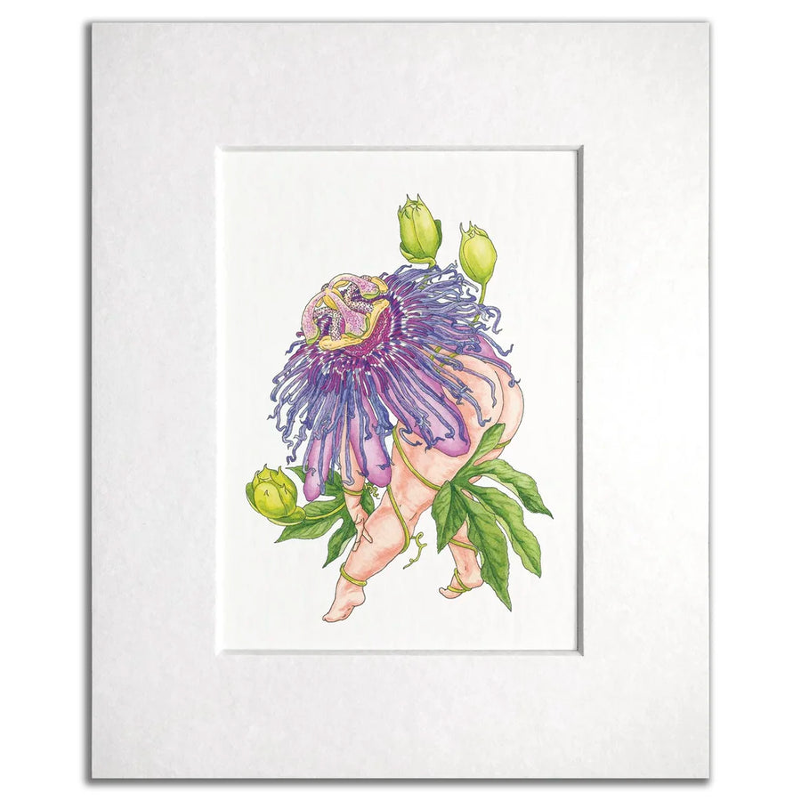 Passion Flower - Jennifer Pate - 8x10"