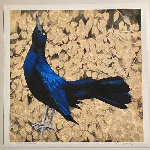 Policy of Grackle - Carly Weaver - 24 x 24" Print