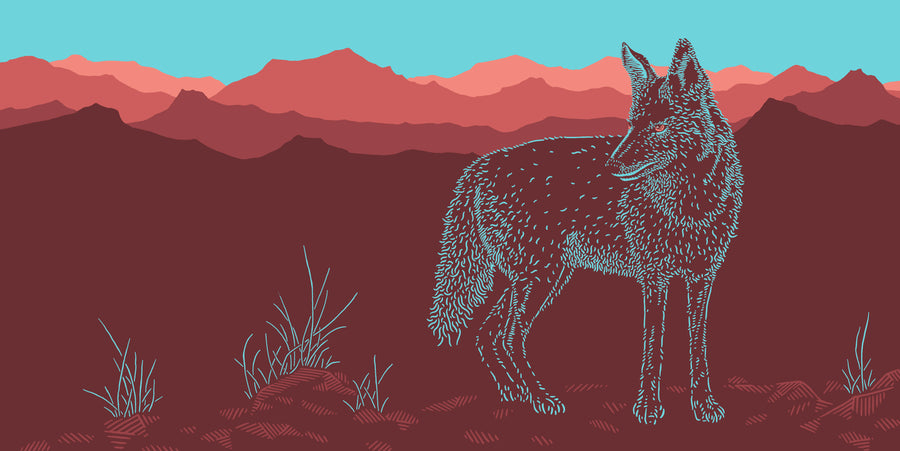 Radio Cayote - Dan Grissom - 12x24"