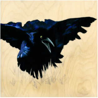 Grackle #27 - Carly Weaver - 8x8"
