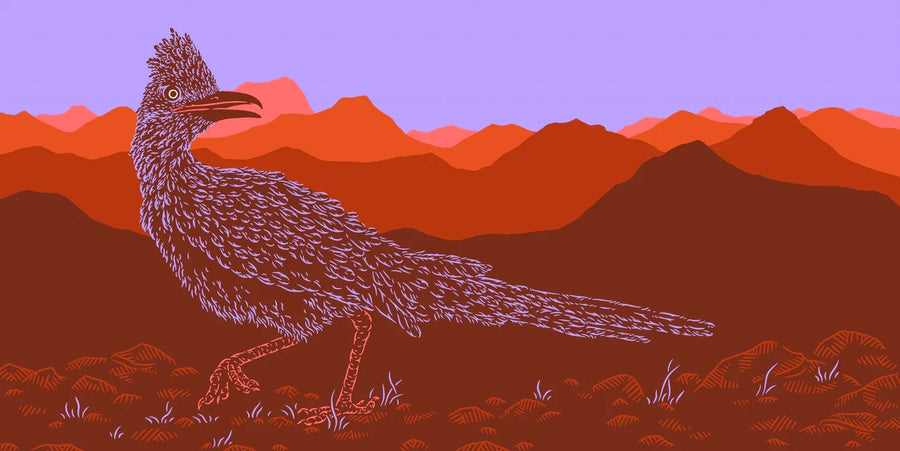 Roadrunner - Dan Grissom - 12x24"