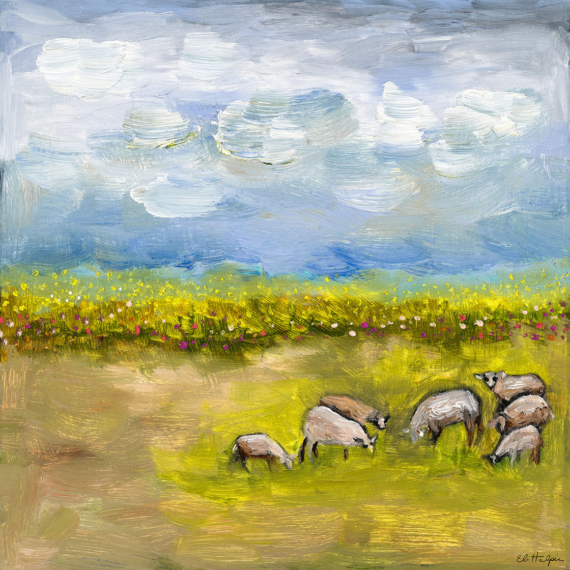 Sheep Pasture - PRINT - Eli Halpin