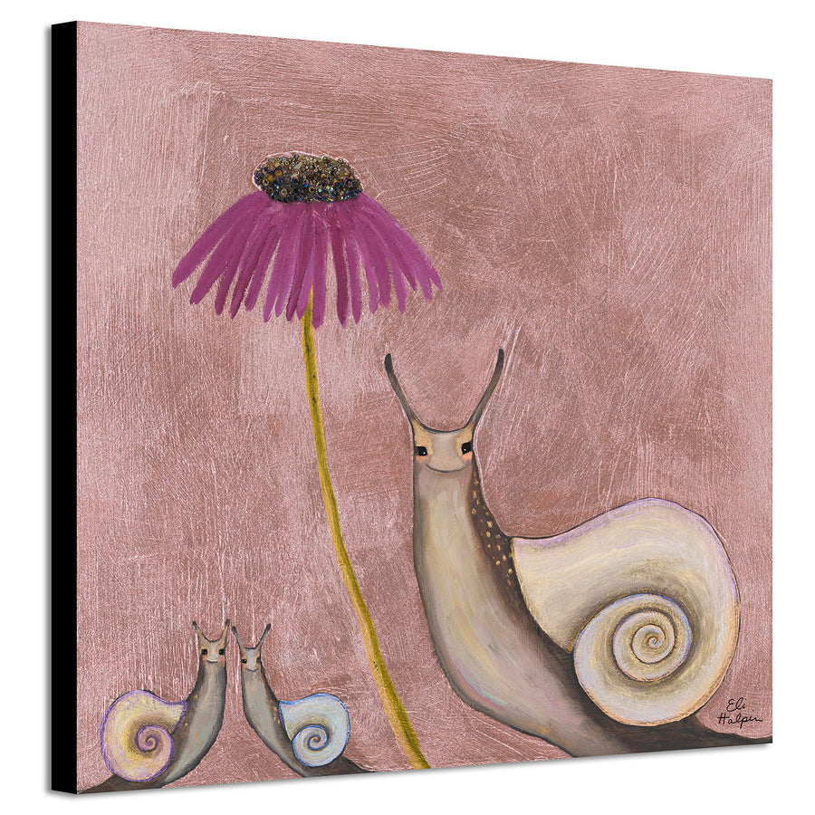Snail Shells - PRINT - Eli Halpin