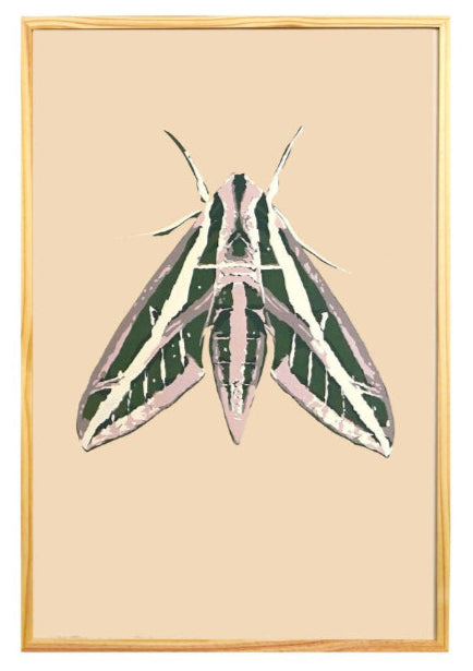 Sphinx Moth - Landry McMeans - 24 x 36"