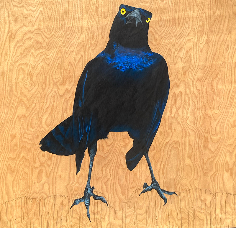 Terry - Carly Weaver - 22x22"