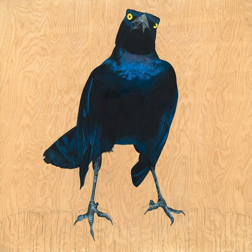 Terry Grackle - Carly Weaver - 8 x 8"