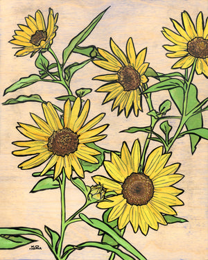 Texas Sunflowers - Katie Chance - 11 x 14"