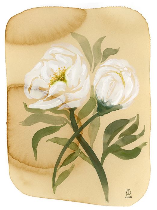 White Peony Flower on Coffee Stained Paper - Katie Chance - 11x14" Print