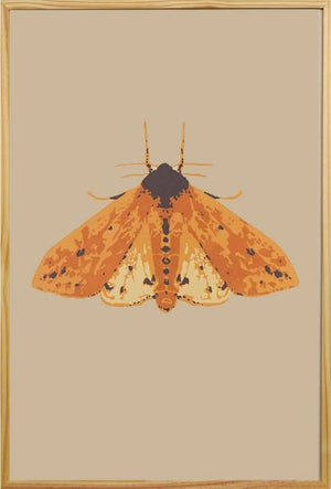 Wooly Moth - Landry McMeans - 24 x 36"