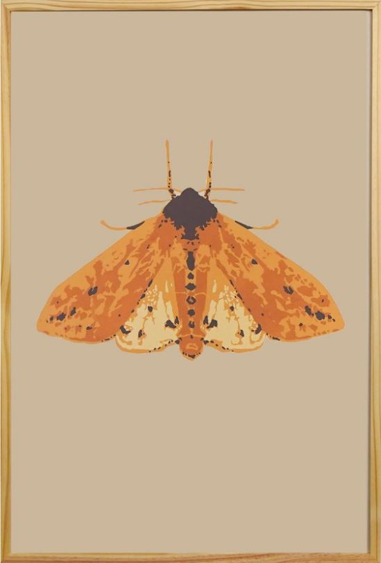 Wooly Moth - Landry McMeans - 24 x 36"